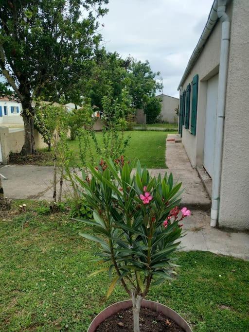 Fleur De Sel D Oleron 3 Chambres Le Château-dʼOléron Εξωτερικό φωτογραφία